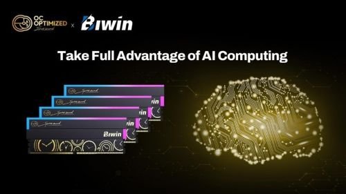 Biwin-DW100